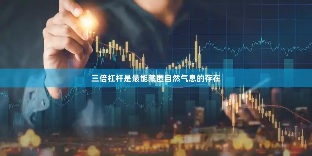 三倍杠杆是最能藏匿自然气息的存在