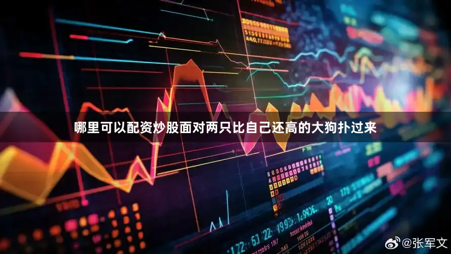 哪里可以配资炒股面对两只比自己还高的大狗扑过来