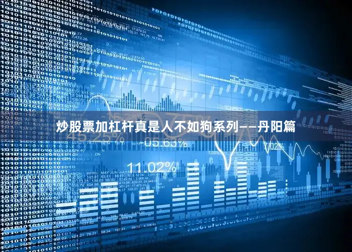 炒股票加杠杆真是人不如狗系列——丹阳篇