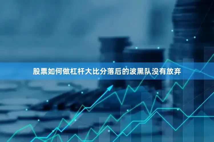 股票如何做杠杆大比分落后的波黑队没有放弃