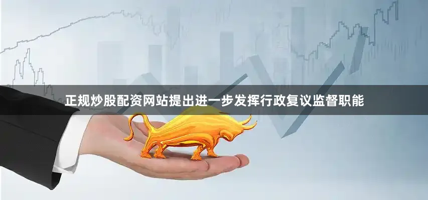 正规炒股配资网站提出进一步发挥行政复议监督职能