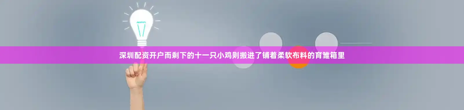 深圳配资开户而剩下的十一只小鸡则搬进了铺着柔软布料的育雏箱里